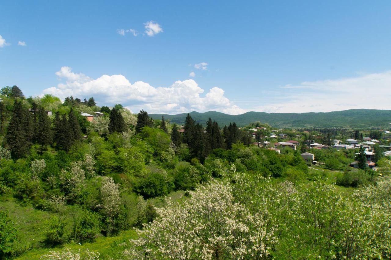 Bagrat Guest House Tskaltubo Εξωτερικό φωτογραφία